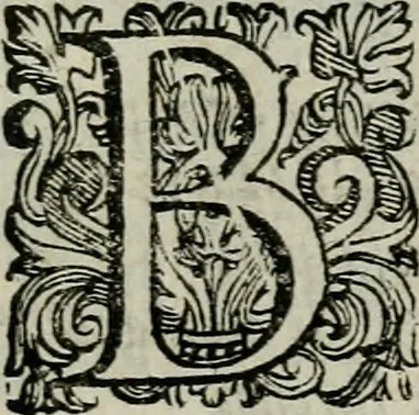An illustration from La gloria del cavallo. Opera dell' illvst. sig. Pasqual Caracciolo...Di nuouo ricorretta, e ristampata: & in quest' vltima edittione aggiunteui le postille .., 1608, leaf 20