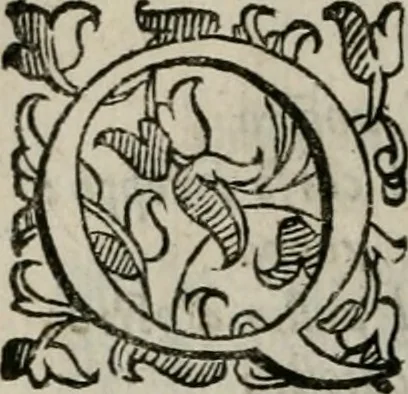 An illustration from La gloria del cavallo. Opera dell' illvst. sig. Pasqual Caracciolo...Di nuouo ricorretta, e ristampata: & in quest' vltima edittione aggiunteui le postille .., 1608, leaf 21