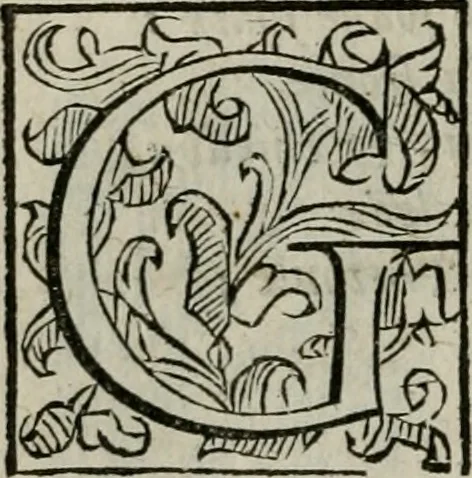 An illustration from La gloria del cavallo. Opera dell' illvst. sig. Pasqual Caracciolo...Di nuouo ricorretta, e ristampata: & in quest' vltima edittione aggiunteui le postille .., 1608, leaf 21
