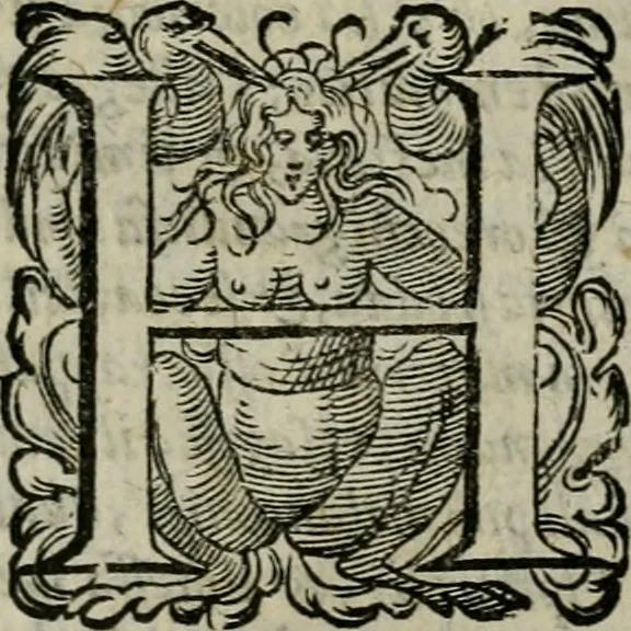 An illustration from La gloria del cavallo. Opera dell' illvst. sig. Pasqual Caracciolo...Di nuouo ricorretta, e ristampata: & in quest' vltima edittione aggiunteui le postille .., 1608, leaf 216