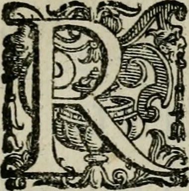 An illustration from La gloria del cavallo. Opera dell' illvst. sig. Pasqual Caracciolo...Di nuouo ricorretta, e ristampata: & in quest' vltima edittione aggiunteui le postille .., 1608, leaf 22