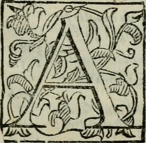 An illustration from La gloria del cavallo. Opera dell' illvst. sig. Pasqual Caracciolo...Di nuouo ricorretta, e ristampata: & in quest' vltima edittione aggiunteui le postille .., 1608, leaf 24