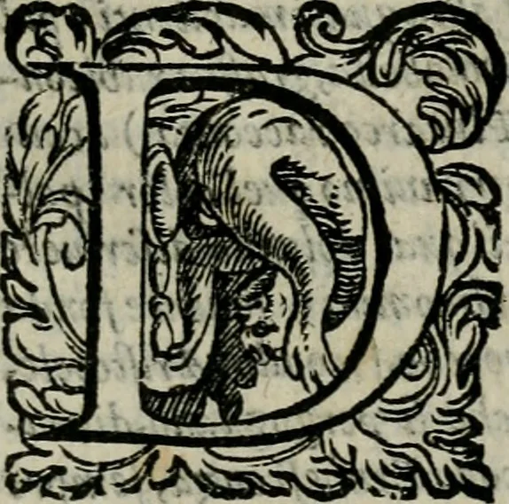An illustration from La gloria del cavallo. Opera dell' illvst. sig. Pasqual Caracciolo...Di nuouo ricorretta, e ristampata: & in quest' vltima edittione aggiunteui le postille .., 1608, leaf 320