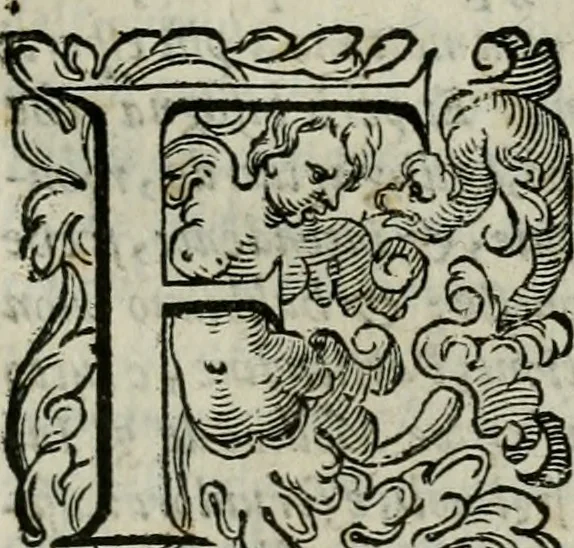 An illustration from La gloria del cavallo. Opera dell' illvst. sig. Pasqual Caracciolo...Di nuouo ricorretta, e ristampata: & in quest' vltima edittione aggiunteui le postille .., 1608, leaf 398