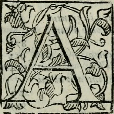 An illustration from La gloria del cavallo. Opera dell' illvst. sig. Pasqual Caracciolo...Di nuouo ricorretta, e ristampata: & in quest' vltima edittione aggiunteui le postille .., 1608, leaf 50
