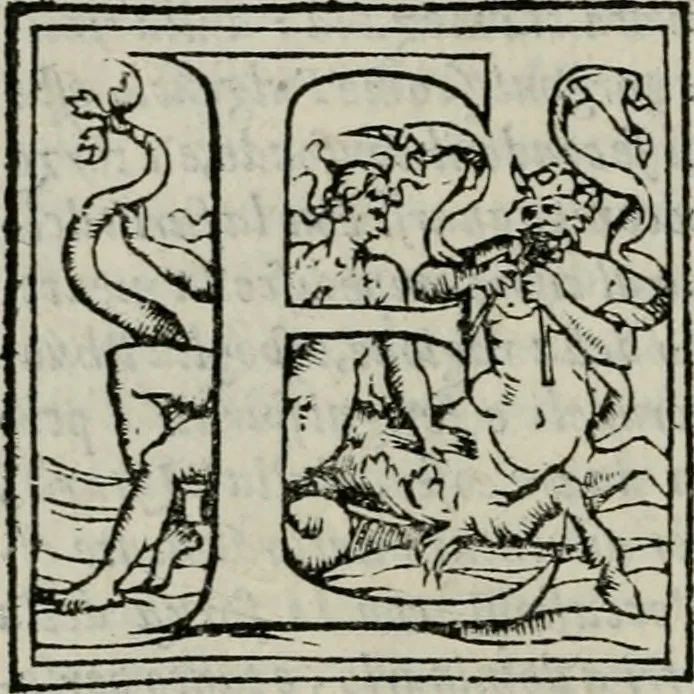 An illustration from La gloria del cavallo. Opera dell' illvst. sig. Pasqual Caracciolo...Di nuouo ricorretta, e ristampata: & in quest' vltima edittione aggiunteui le postille .., 1608, leaf 537