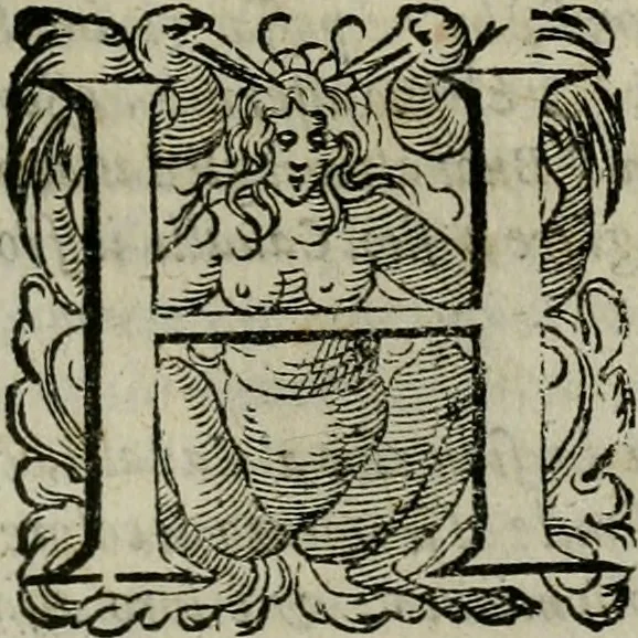 An illustration from La gloria del cavallo. Opera dell' illvst. sig. Pasqual Caracciolo...Di nuouo ricorretta, e ristampata: & in quest' vltima edittione aggiunteui le postille .., 1608, leaf 596