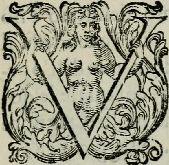 An illustration from La gloria del cavallo. Opera dell' illvst. sig. Pasqual Caracciolo...Di nuouo ricorretta, e ristampata: & in quest' vltima edittione aggiunteui le postille .., 1608, leaf 6