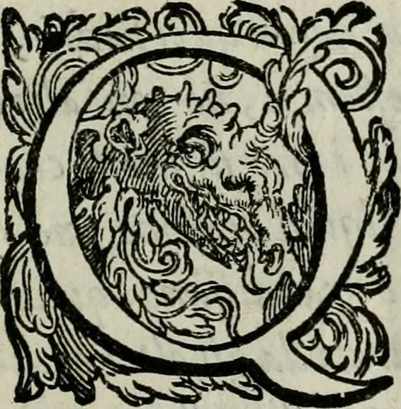 An illustration from La gloria del cavallo. Opera dell' illvst. sig. Pasqual Caracciolo...Di nuouo ricorretta, e ristampata: & in quest' vltima edittione aggiunteui le postille .., 1608, leaf 8