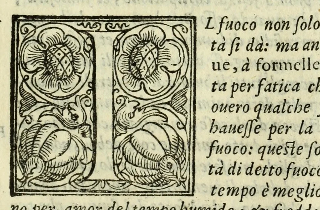 An illustration from La gloria del cavallo, 1608, leaf 1103