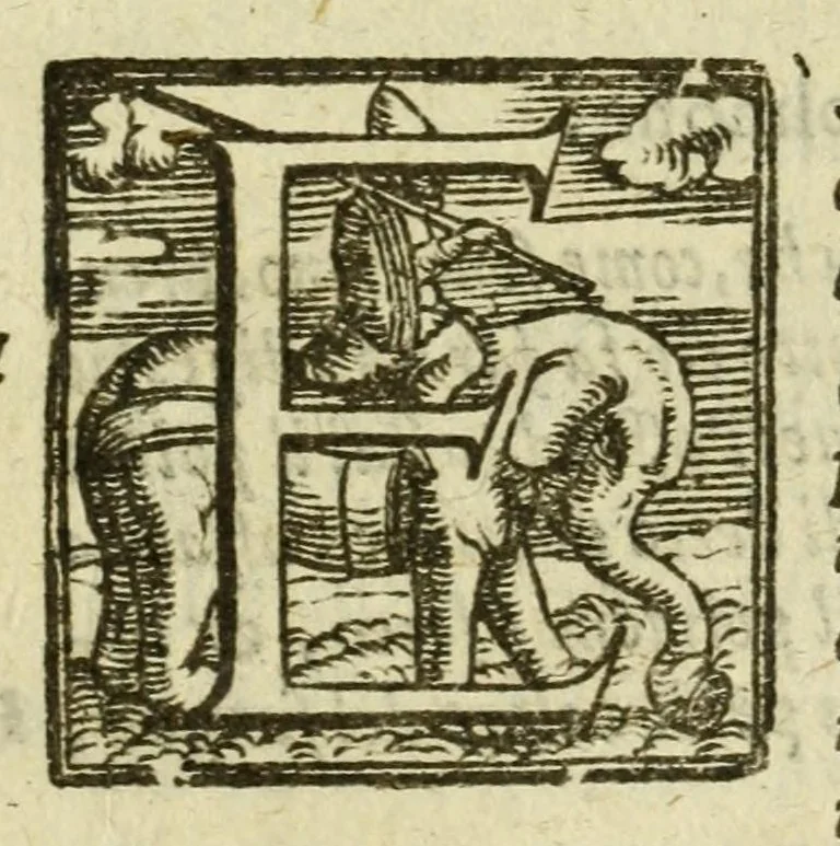 An illustration from La gloria del cavallo, 1608, leaf 1151