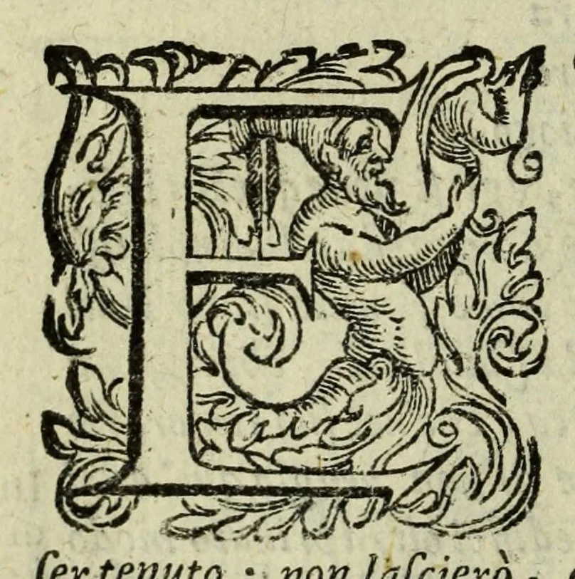 An illustration from La gloria del cavallo, 1608, leaf 142