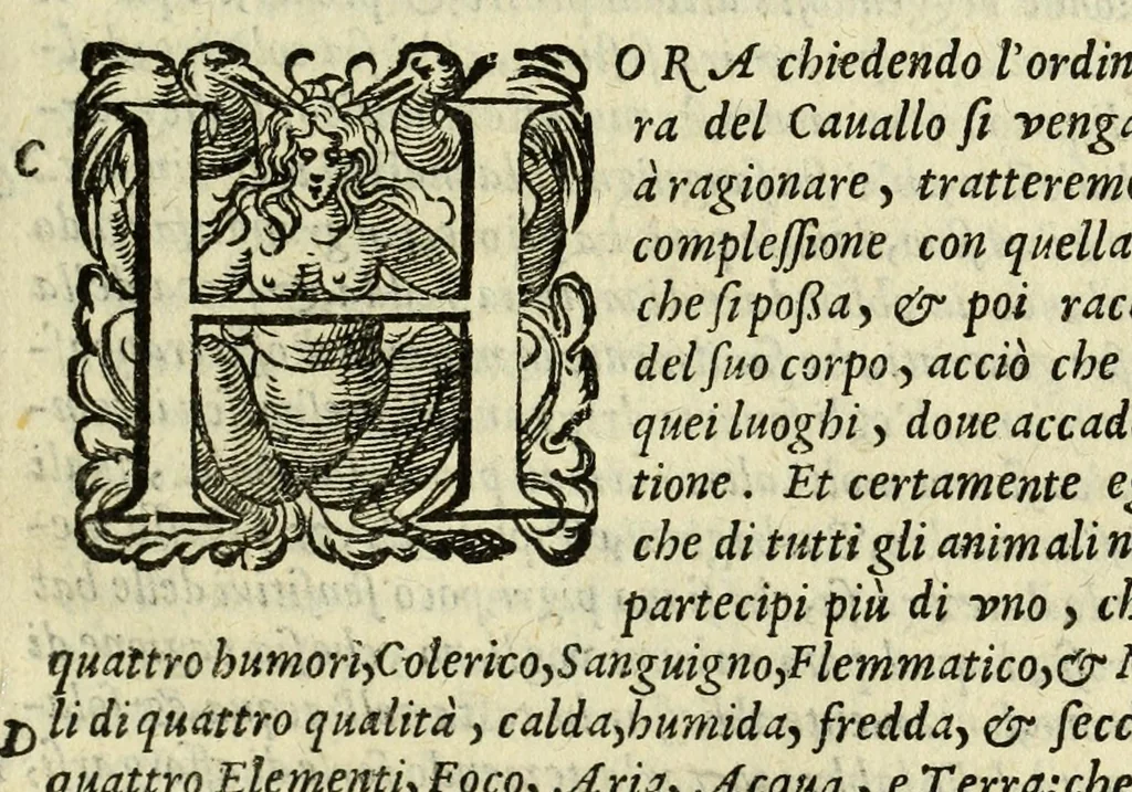 An illustration from La gloria del cavallo, 1608, leaf 217