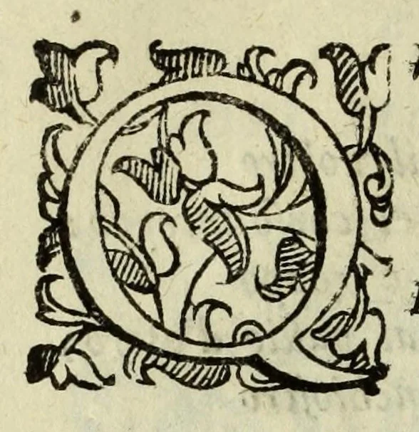 An illustration from La gloria del cavallo, 1608, leaf 22
