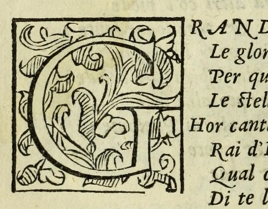 An illustration from La gloria del cavallo, 1608, leaf 22