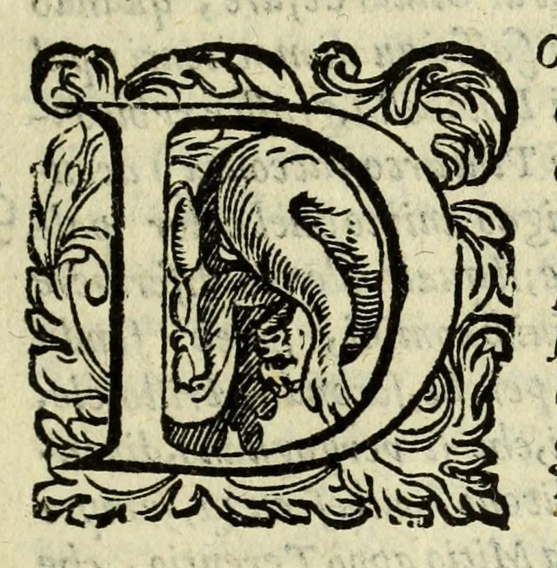 An illustration from La gloria del cavallo, 1608, leaf 321