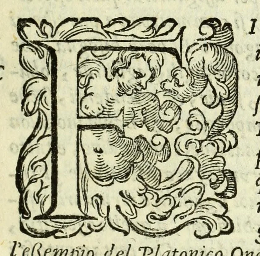 An illustration from La gloria del cavallo, 1608, leaf 399