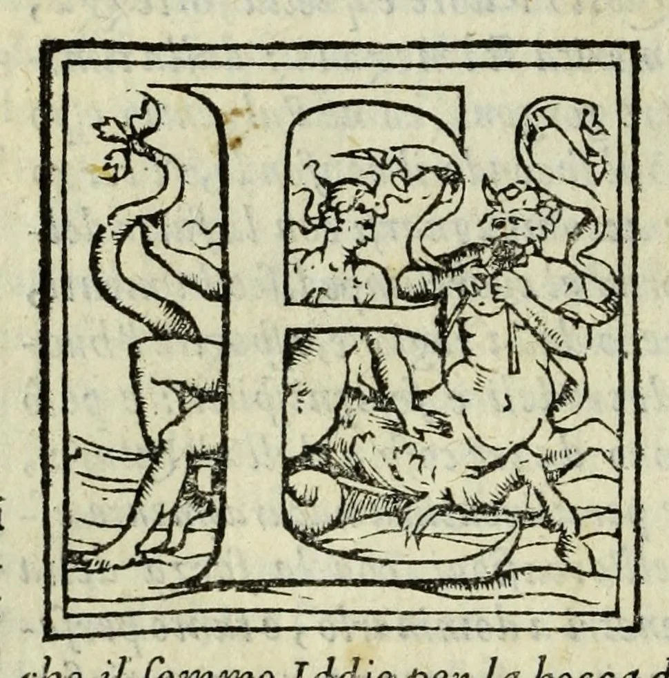 An illustration from La gloria del cavallo, 1608, leaf 538