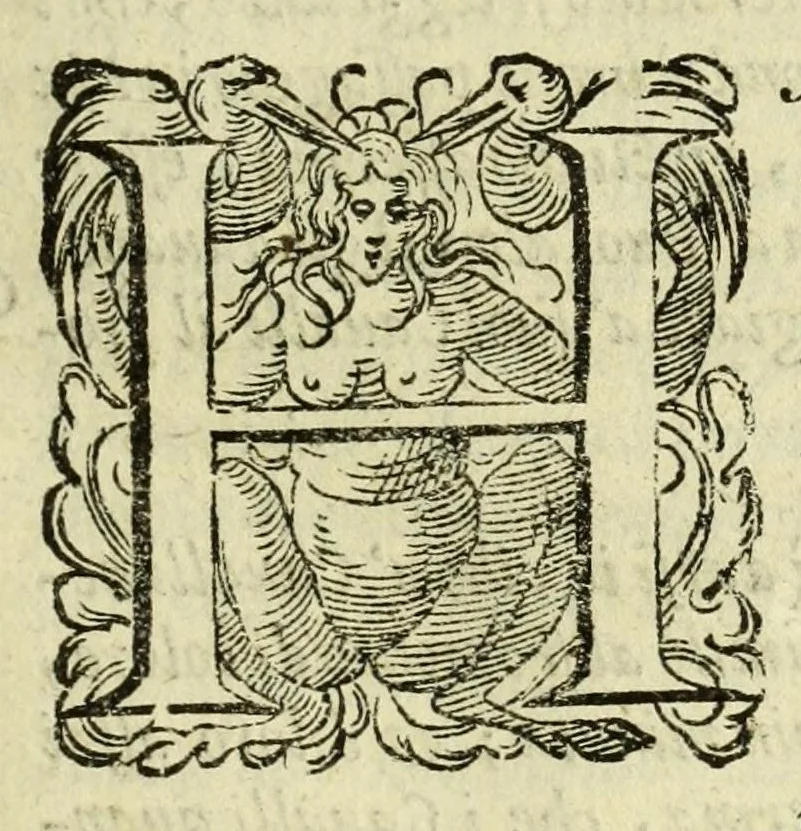 An illustration from La gloria del cavallo, 1608, leaf 593