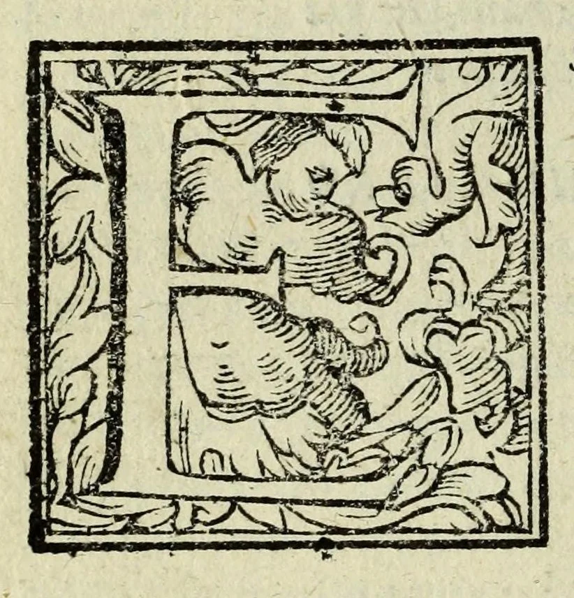 An illustration from La gloria del cavallo, 1608, leaf 688