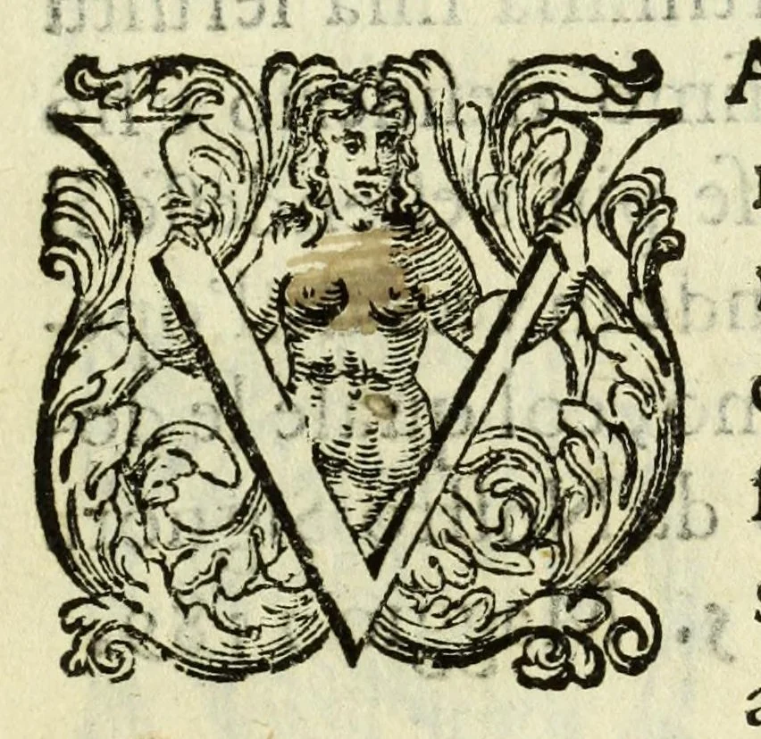 An illustration from La gloria del cavallo, 1608, leaf 7