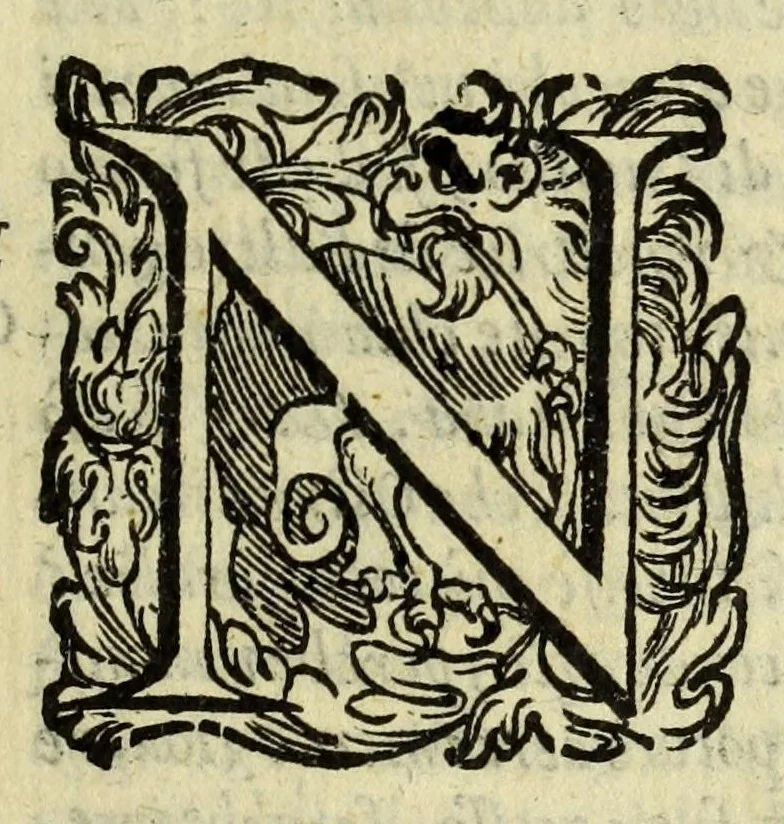 An illustration from La gloria del cavallo, 1608, leaf 73