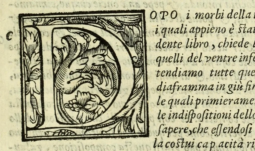 An illustration from La gloria del cavallo, 1608, leaf 789