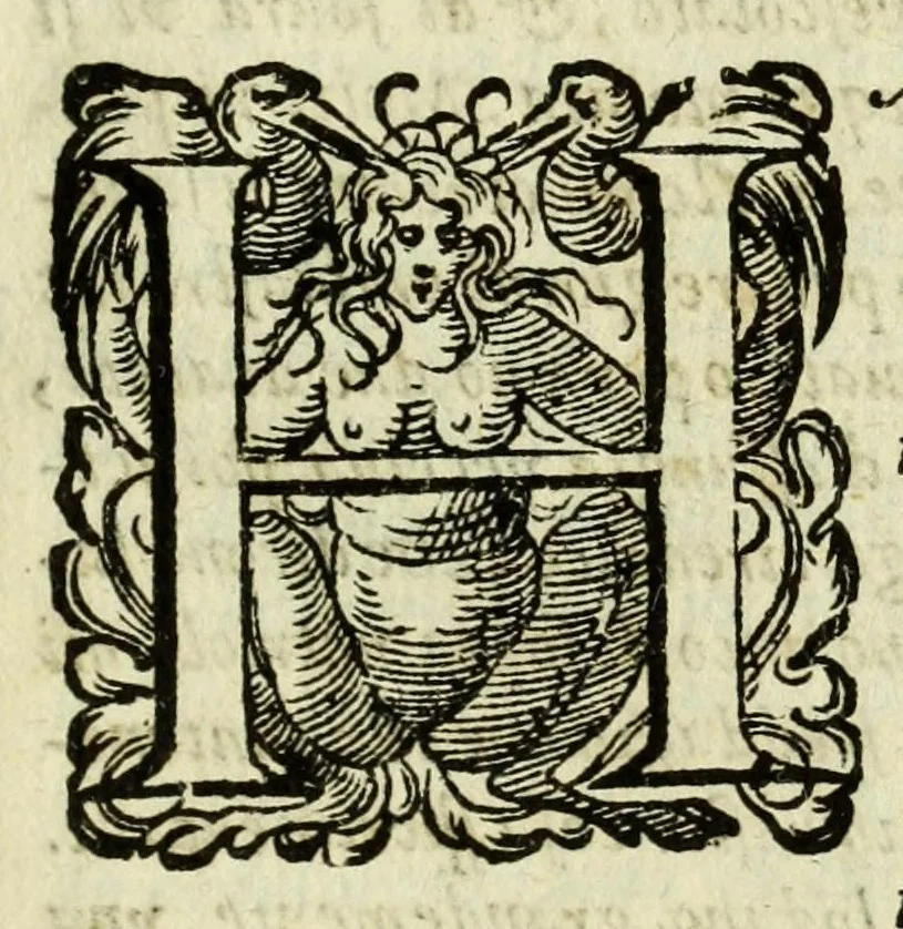 An illustration from La gloria del cavallo, 1608, leaf 889