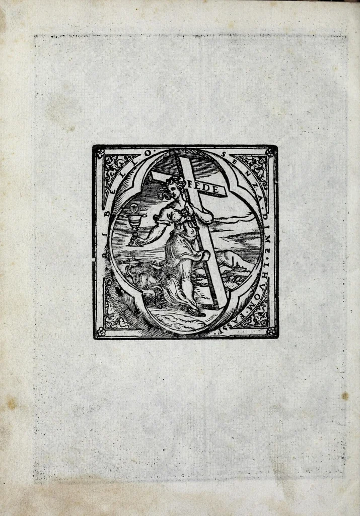 An illustration from La gloria e l'honore de ponti tagliati, e ponti in aere, & ponti in stiora a fogliami : opera noua, et con somma diligentia posta in luce, 1563, leaf 36
