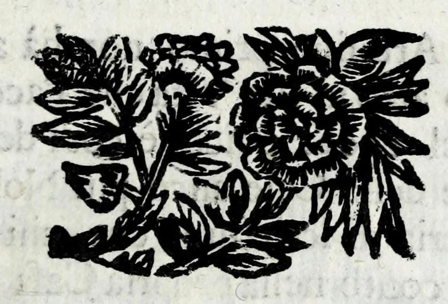 An illustration from Lago, fortezza, e rocca di Garda e Gardesana : con la genealogia de gli antichi signori di Garda, hora detti Carlotti : nobili di Verona, marchesi di Riperbella nella Toscana, baroni di Cesterol, e di Villanoua, e signori di Masuquies, Cailà, e S. Giouanni, nella lingua d'Occa, 1679, leaf 117