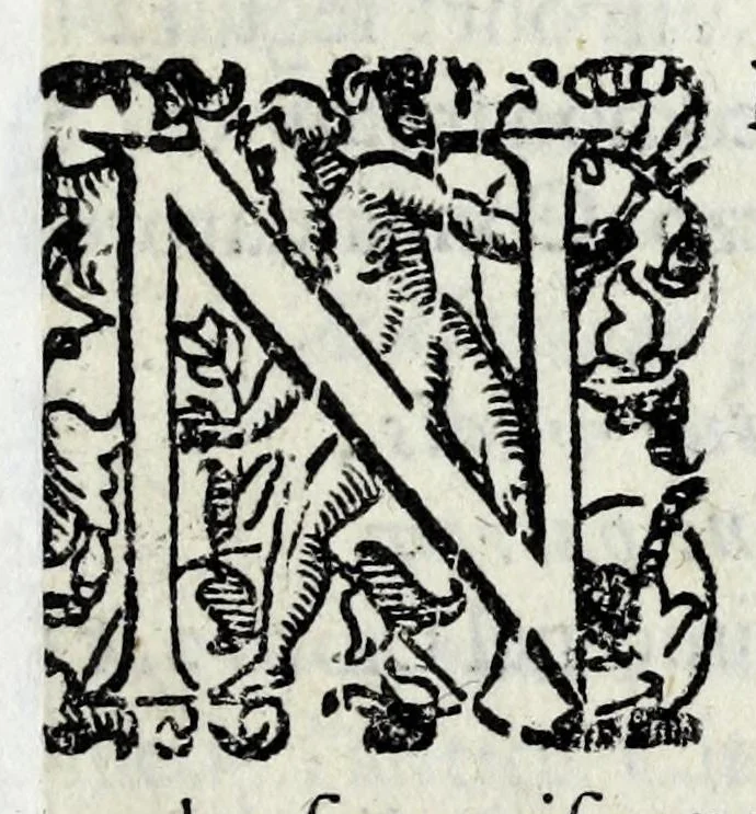 An illustration from Lago, fortezza, e rocca di Garda e Gardesana : con la genealogia de gli antichi signori di Garda, hora detti Carlotti : nobili di Verona, marchesi di Riperbella nella Toscana, baroni di Cesterol, e di Villanoua, e signori di Masuquies, Cailà, e S. Giouanni, nella lingua d'Occa, 1679, leaf 13