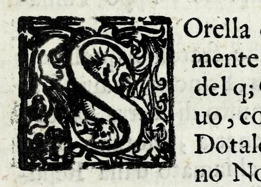 An illustration from Lago, fortezza, e rocca di Garda e Gardesana : con la genealogia de gli antichi signori di Garda, hora detti Carlotti : nobili di Verona, marchesi di Riperbella nella Toscana, baroni di Cesterol, e di Villanoua, e signori di Masuquies, Cailà, e S. Giouanni, nella lingua d'Occa, 1679, leaf 145