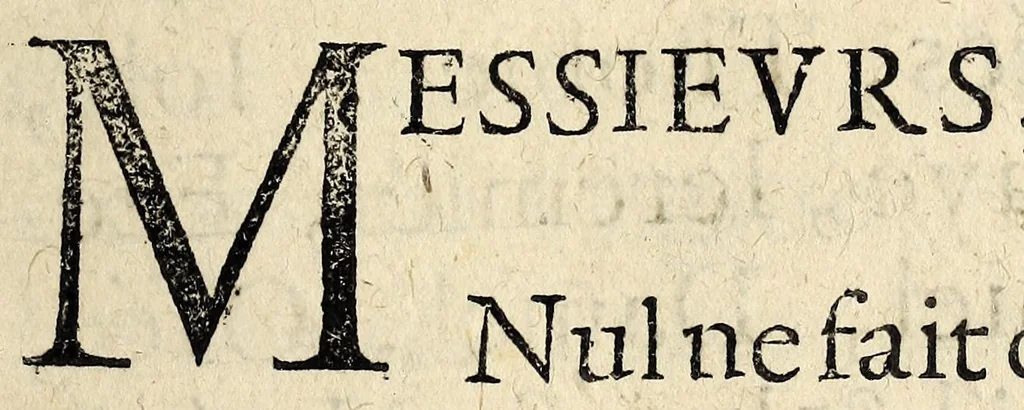 An illustration from La grande desolation de la religion pretenduë reformée sur l'approbation & mort espouuentable du ministre de la ville de Nismes, ayant eu le col tors dedans la chaize par vn grande esclat de tonnerre, esleué en l'air, & rendu inuisible, au grand estonnement des auditeurs; en leur preschant le contraire de la vraye foy catholique, apostollque et romaine. A Nismes, le 6. aoust 1634., 1634, leaf 13