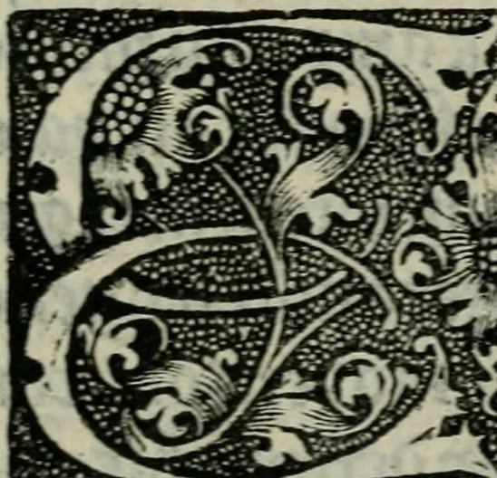 An illustration from La grant monarchie de France .., 1519, leaf 119