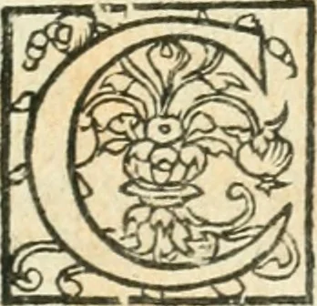 An illustration from L'agriculture et maison rustique; en laquelle est contenu tout ce qui peut estre requis, pour bastir maison champestre, nourrir & medeciner bestiail & volaille de toutes fortes, dresser iardins ... entretenir les prez, viuiers & estangs ... Plus vn bref recueil de la chasse & de la fauconnerie, 1564, leaf 110
