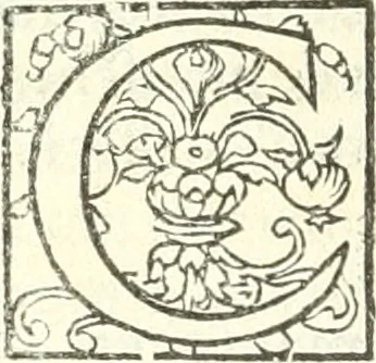 An illustration from L'agriculture et maison rustique; en laquelle est contenu tout ce qui peut estre requis, pour bastir maison champestre, nourrir & medeciner bestiail & volaille de toutes fortes, dresser iardins ... entretenir les prez, viuiers & estangs ... Plus vn bref recueil de la chasse & de la fauconnerie, 1564, leaf 141