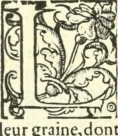 An illustration from L'agriculture et maison rustique; en laquelle est contenu tout ce qui peut estre requis, pour bastir maison champestre, nourrir & medeciner bestiail & volaille de toutes fortes, dresser iardins ... entretenir les prez, viuiers & estangs ... Plus vn bref recueil de la chasse & de la fauconnerie, 1564, leaf 143