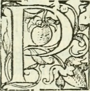 An illustration from L'agriculture et maison rustique; en laquelle est contenu tout ce qui peut estre requis, pour bastir maison champestre, nourrir & medeciner bestiail & volaille de toutes fortes, dresser iardins ... entretenir les prez, viuiers & estangs ... Plus vn bref recueil de la chasse & de la fauconnerie, 1564, leaf 150