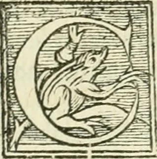 An illustration from L'agriculture et maison rustique; en laquelle est contenu tout ce qui peut estre requis, pour bastir maison champestre, nourrir & medeciner bestiail & volaille de toutes fortes, dresser iardins ... entretenir les prez, viuiers & estangs ... Plus vn bref recueil de la chasse & de la fauconnerie, 1564, leaf 192