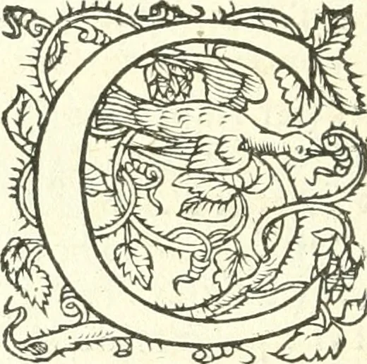 An illustration from L'agriculture et maison rustique; en laquelle est contenu tout ce qui peut estre requis, pour bastir maison champestre, nourrir & medeciner bestiail & volaille de toutes fortes, dresser iardins ... entretenir les prez, viuiers & estangs ... Plus vn bref recueil de la chasse & de la fauconnerie, 1564, leaf 203