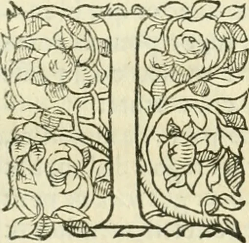An illustration from L'agriculture et maison rustique; en laquelle est contenu tout ce qui peut estre requis, pour bastir maison champestre, nourrir & medeciner bestiail & volaille de toutes fortes, dresser iardins ... entretenir les prez, viuiers & estangs ... Plus vn bref recueil de la chasse & de la fauconnerie, 1564, leaf 266