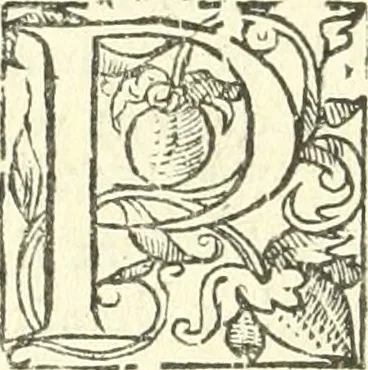 An illustration from L'agriculture et maison rustique; en laquelle est contenu tout ce qui peut estre requis, pour bastir maison champestre, nourrir & medeciner bestiail & volaille de toutes fortes, dresser iardins ... entretenir les prez, viuiers & estangs ... Plus vn bref recueil de la chasse & de la fauconnerie, 1564, leaf 27