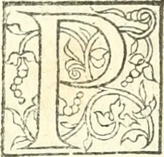 An illustration from L'agriculture et maison rustique; en laquelle est contenu tout ce qui peut estre requis, pour bastir maison champestre, nourrir & medeciner bestiail & volaille de toutes fortes, dresser iardins ... entretenir les prez, viuiers & estangs ... Plus vn bref recueil de la chasse & de la fauconnerie, 1564, leaf 285