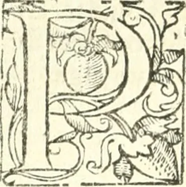 An illustration from L'agriculture et maison rustique; en laquelle est contenu tout ce qui peut estre requis, pour bastir maison champestre, nourrir & medeciner bestiail & volaille de toutes fortes, dresser iardins ... entretenir les prez, viuiers & estangs ... Plus vn bref recueil de la chasse & de la fauconnerie, 1564, leaf 45