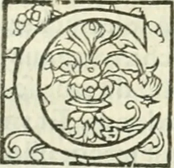 An illustration from L'agriculture et maison rustique; en laquelle est contenu tout ce qui peut estre requis, pour bastir maison champestre, nourrir & medeciner bestiail & volaille de toutes fortes, dresser iardins ... entretenir les prez, viuiers & estangs ... Plus vn bref recueil de la chasse & de la fauconnerie, 1564, leaf 60