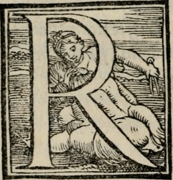 An illustration from La guerra fatta da christiani contra barbari per la ricuperatione del sepolcro di Christo et della Givdea, 1549, leaf 67