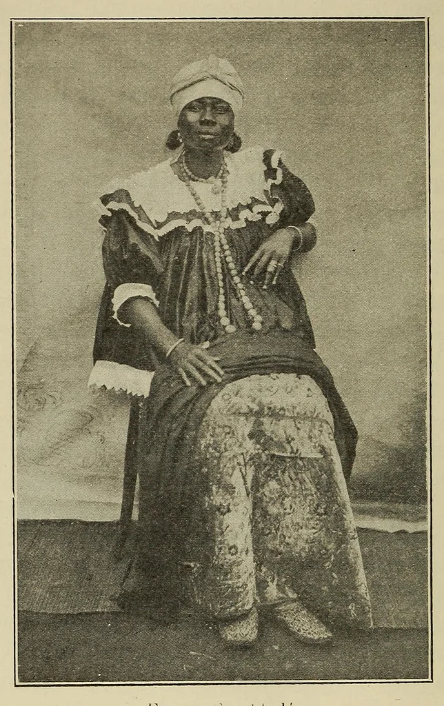 An illustration from La Guinée française: races, religions, coutumes, production, commerce, 1907, leaf 224