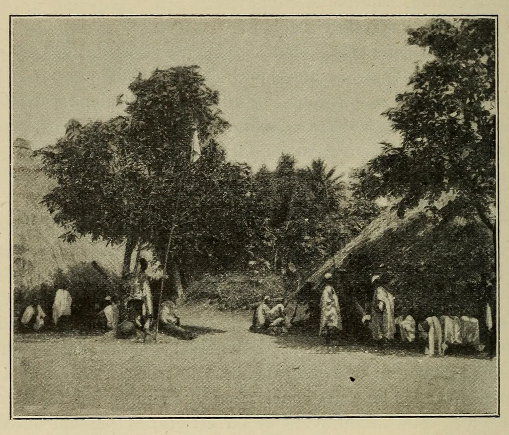 An illustration from La Guinée française: races, religions, coutumes, production, commerce, 1907, leaf 244