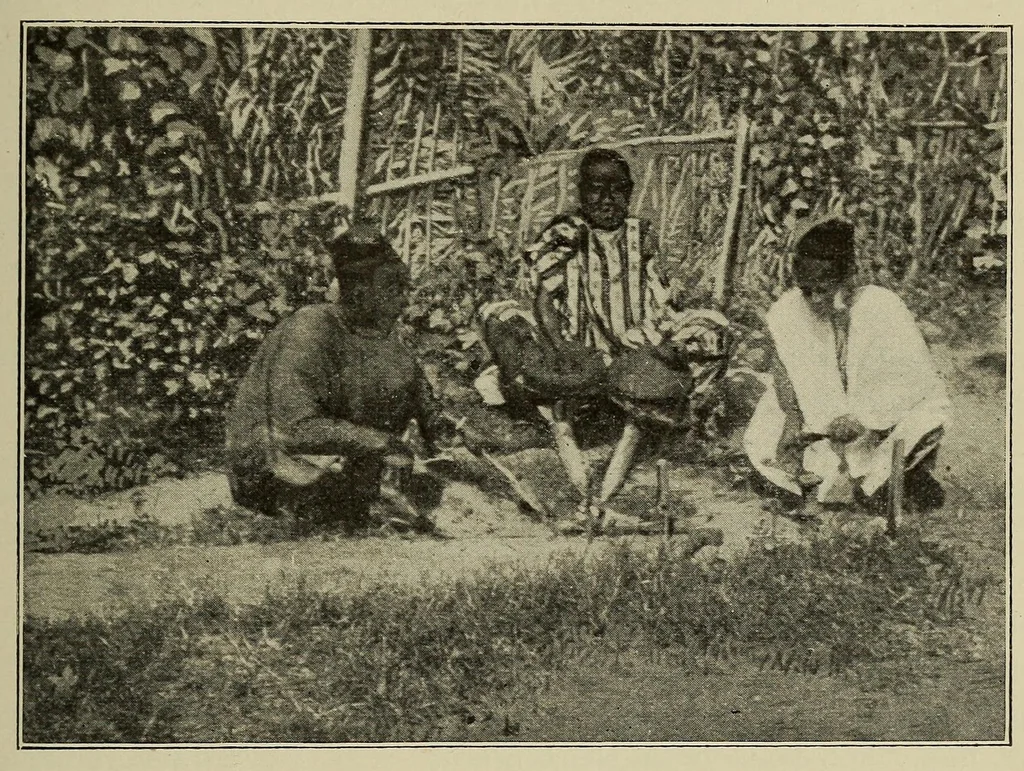 An illustration from La Guinée française: races, religions, coutumes, production, commerce, 1907, leaf 281