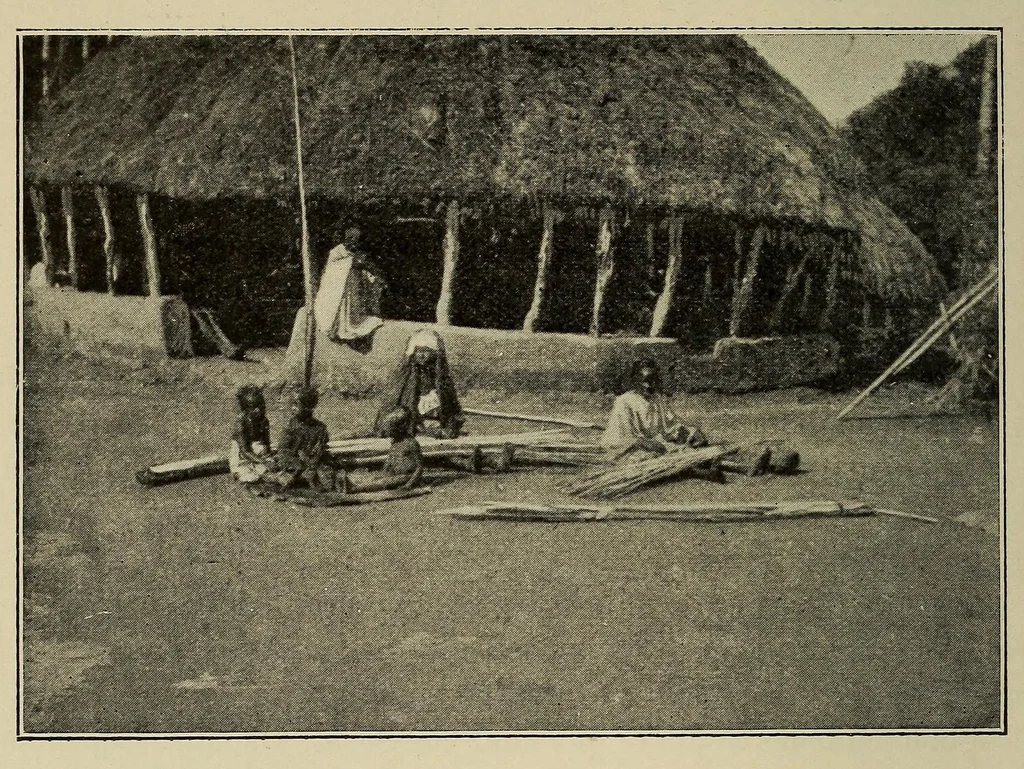 An illustration from La Guinée française: races, religions, coutumes, production, commerce, 1907, leaf 304